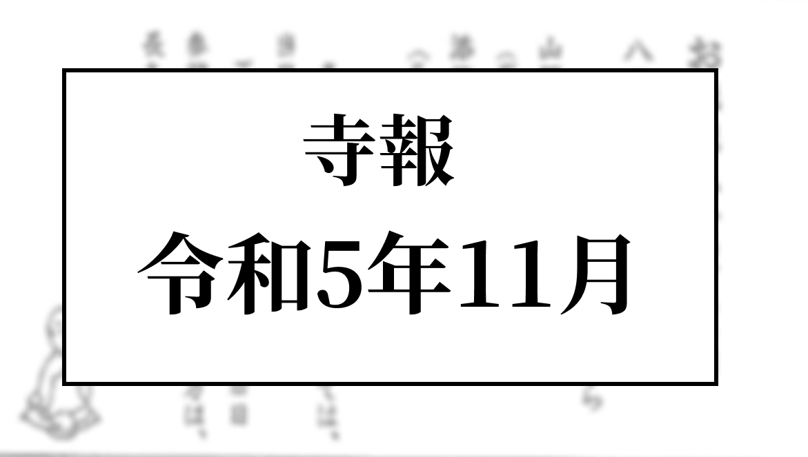 令和5年11月